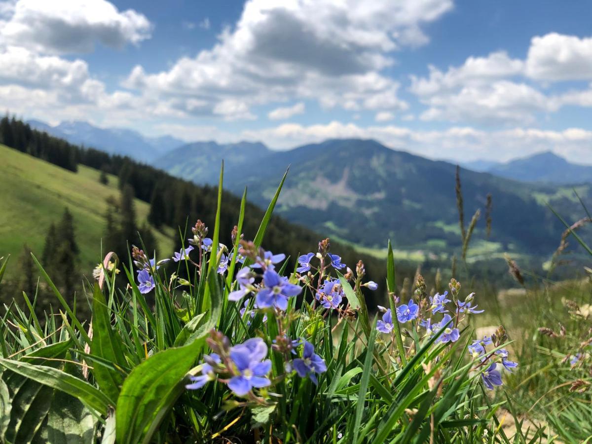 Bergquell Tirol Apartment Jungholz Luaran gambar