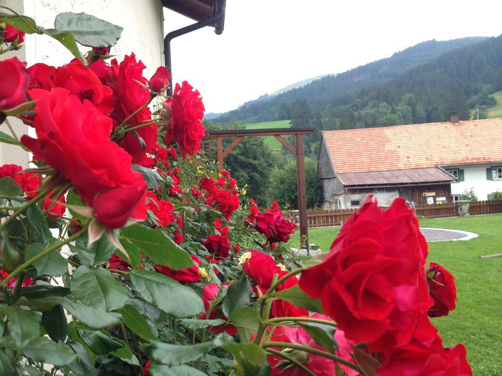 Bergquell Tirol Apartment Jungholz Luaran gambar